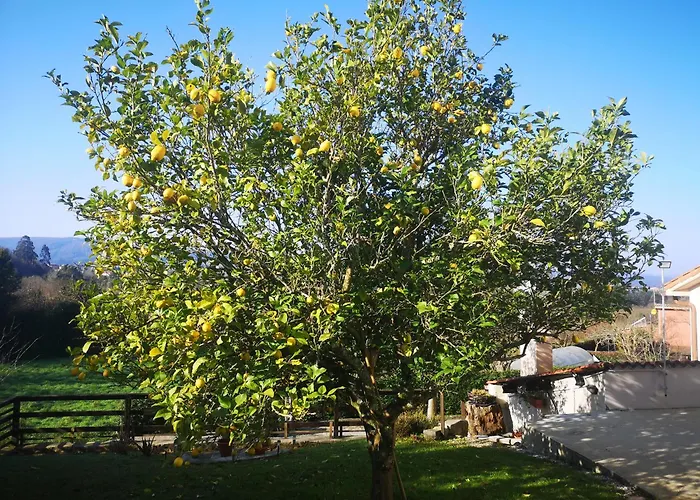 Casal De Perros Holiday home *